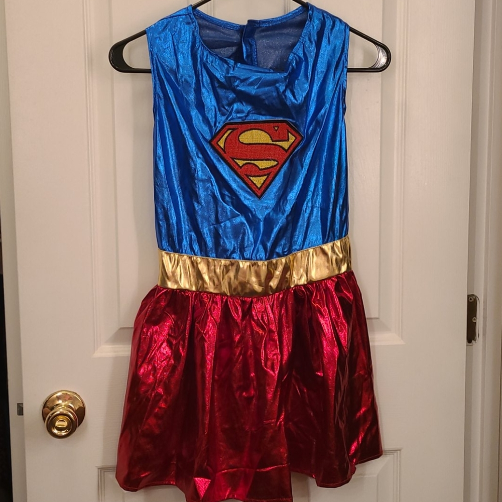 Supergirl Dog Custom
